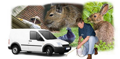 Chorlton Cum Hardy local van